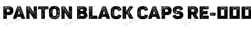 panton black caps re字体转换